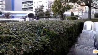 SDMUA-011-C 会社の近くに引っ越したせいで、大雨が降った日はちょっとSっ気のある部下3名のたまり場に。